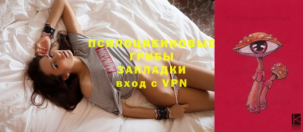 apvp Балахна