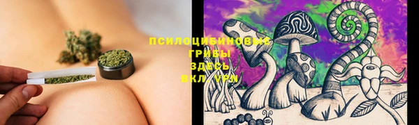 apvp Балахна