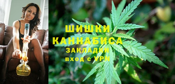 гидра Арсеньев