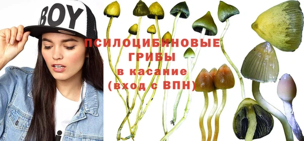 apvp Балахна